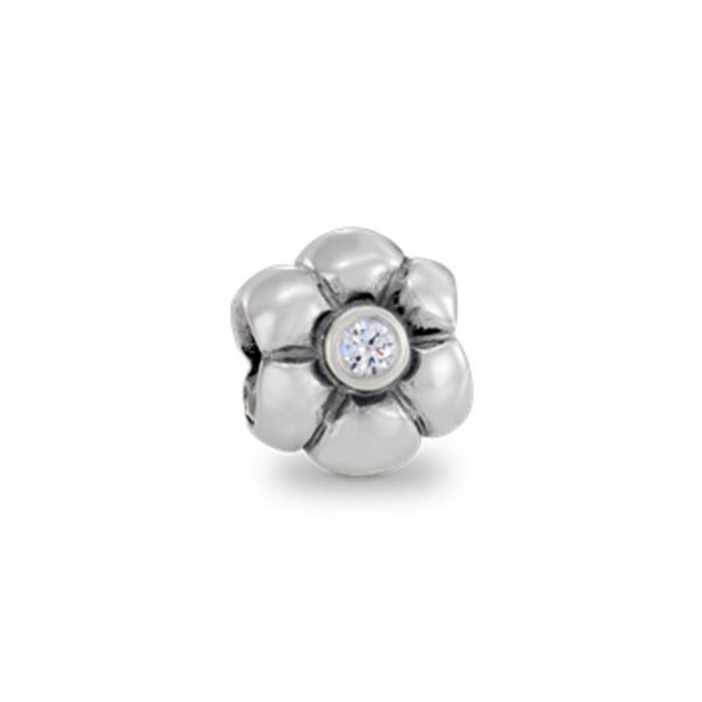 Pandora charm